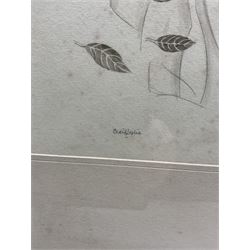 Cecil Mary Leslie (British 1900-1980): 'The Love Poem', pencil and watercolour signed, titled on gallery label verso 30cm x 29cm 
Provenance: with the Albany Gallery, Sackville Street, label verso