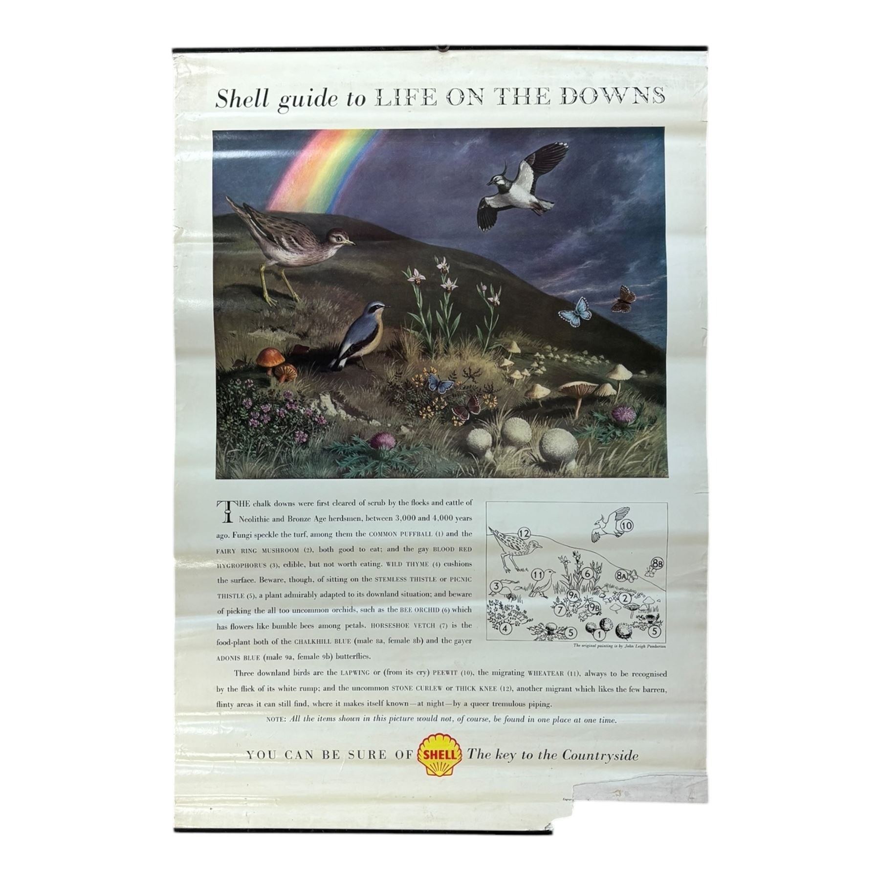 Collection thirty seven vintage county guide posters produced by Shell, H76cm, W51cm