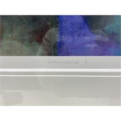 Downe Burns (American Contemporary): 'Colourworld II', limited edition print signed titled and numbered 45/195 in pencil, 46cm x 77cm 
