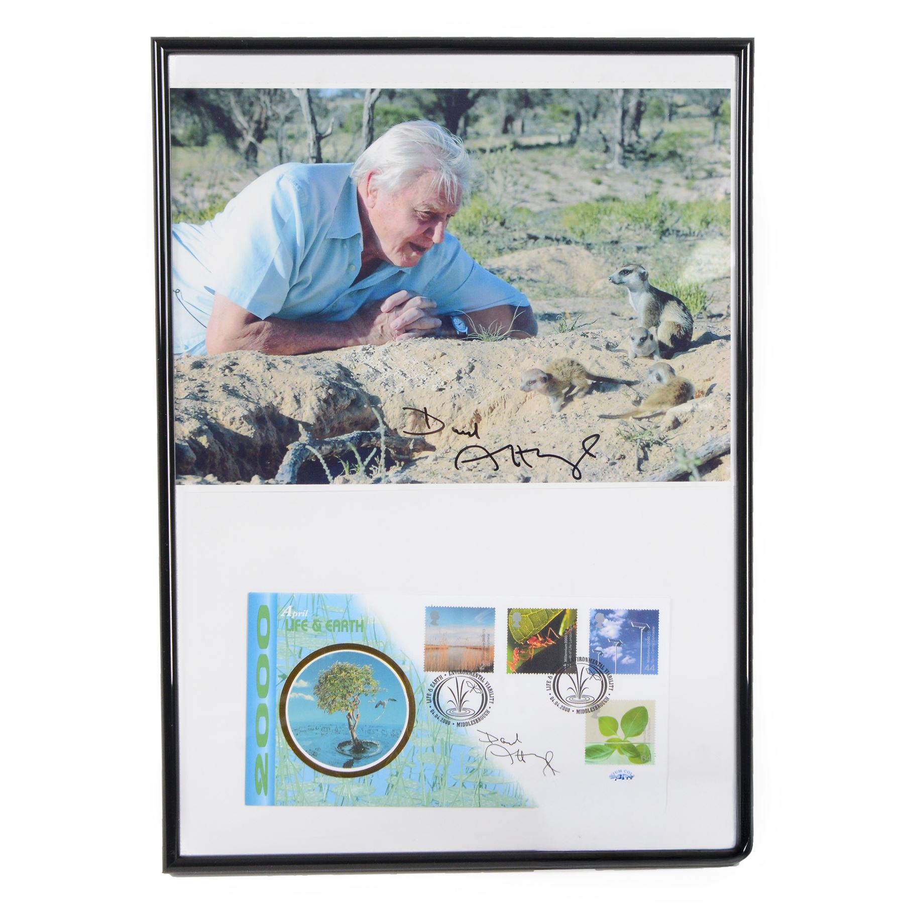 Signed David Attenborough photograph and a signed Life on Earth first day cover, framed H43cm
