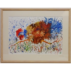  Cockerel, watercolour signed by Shirley Davies Dew (British Contemporary) 34.5cm x 49.5cm  