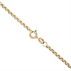 14ct gold Baltic amber pendant on gold cable link chain necklace and a pair gold Baltic amber screw back earrings within a rope twist surround, both 9ct
