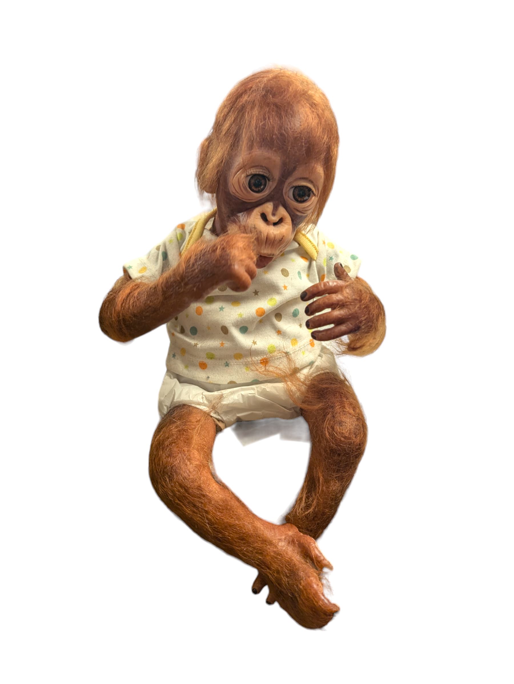 Ashton Drake Baby Babu, orangutan doll, H35cm