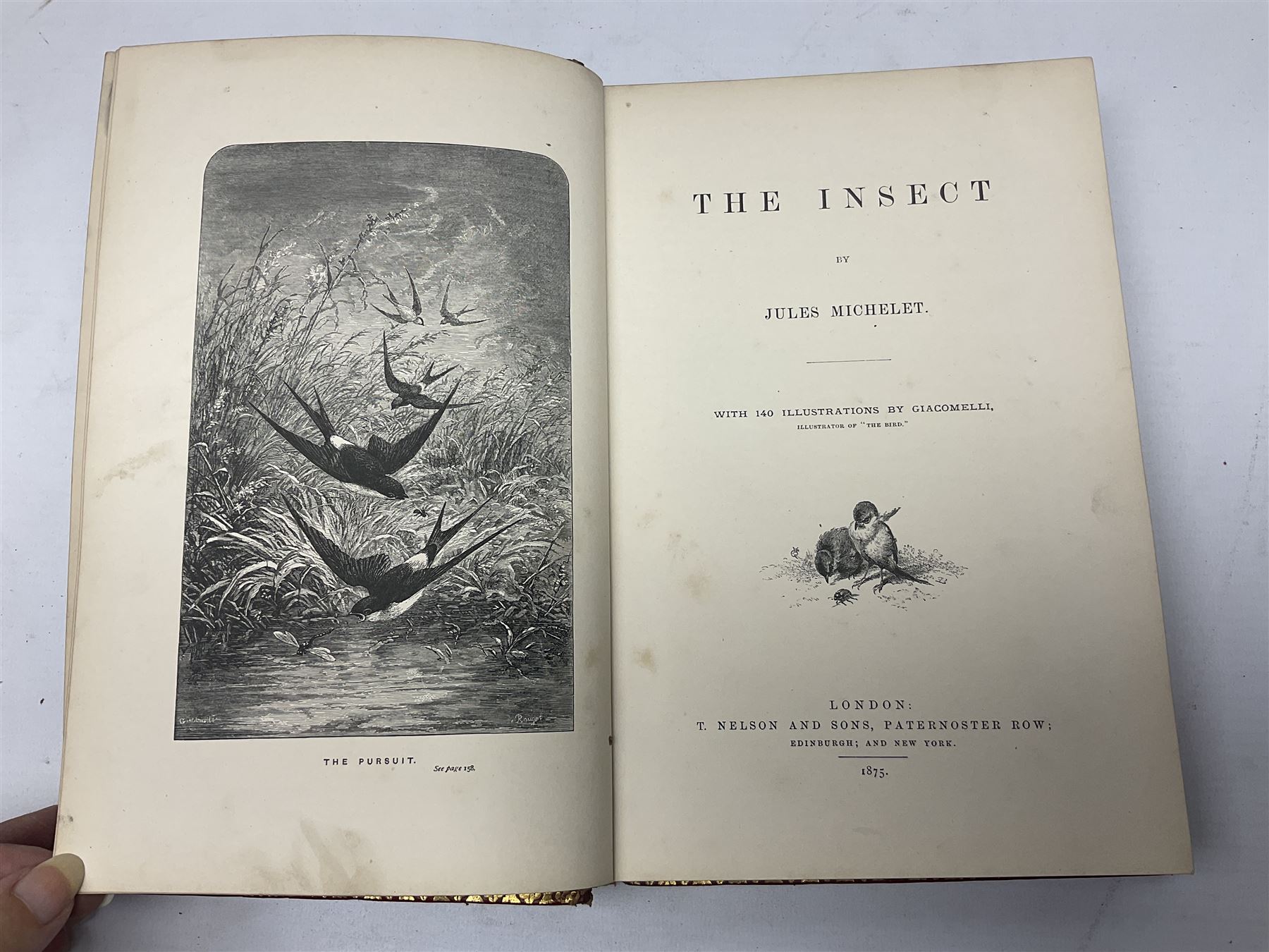 Jules Michelet (French 1798-1874): The Insect, with illustrations by Giacomelli, pub. T. Nelson and Sons, Paternoster Row, Edinburgh and New York, 1875, together with Edward Callow: The Phynodderree and Other Legends of the Isle of Man, with illustrations by W.J. Watson, pub. J. Dean and Son, Fleet Street, E.C, George Dodd: Metals British Manufactures, pub. Charles Knight and Co, Ludgate Street, 1845, WWI Imperial Army Series Musketry, pub. John Murray, Albermarle Street, 1915, Laurence Echard (1670–1730): The Roman History From the Settlement of the Empire by Augustus Caesar, To The Removal of the Imperial Seat by Constantine the Great Containing the Space of 355 years, vol. 2, printed by T.H. for M. Gillyflower, J. Tonson in Fleet Street, H. Bonwick in St. Paul's Church-yard and R. Parker in Cornhill, 1698, bound in leather (5)