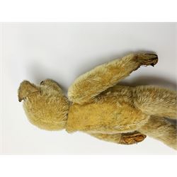 Early 20th century American mohair teddy bear c1920 with wood wool filled body humped back body with jointed limbs, black boot button eyes and horizontal stitched nose and mouth H12