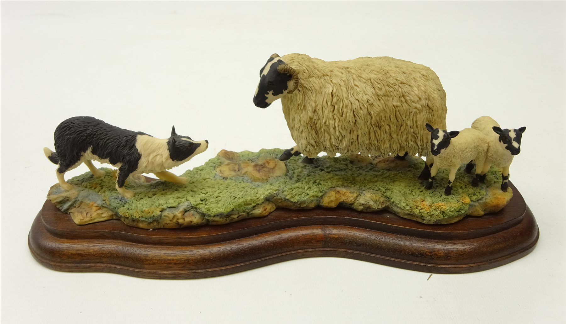 Border Fine Arts 'Scottish Black Faced Sheep with Collie' by Ray Ayres