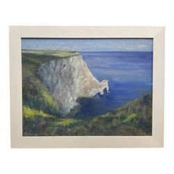 Neil Tyler (British 1945-): 'Bright Day Flamborough', oil on canvas signed 45cm x 60cm