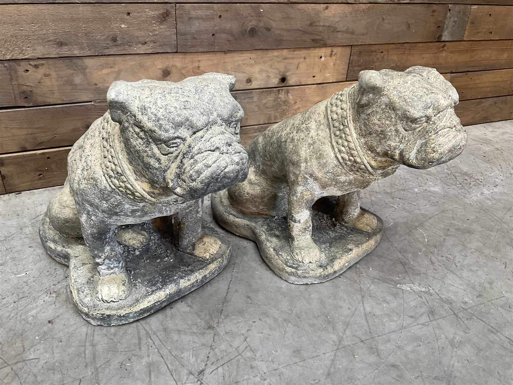 Pair of cast stone garden British bulldogs, on shaped plinths