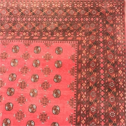 Bokhara red ground rug, repeating border, patterned field, 290cm x 202cm
