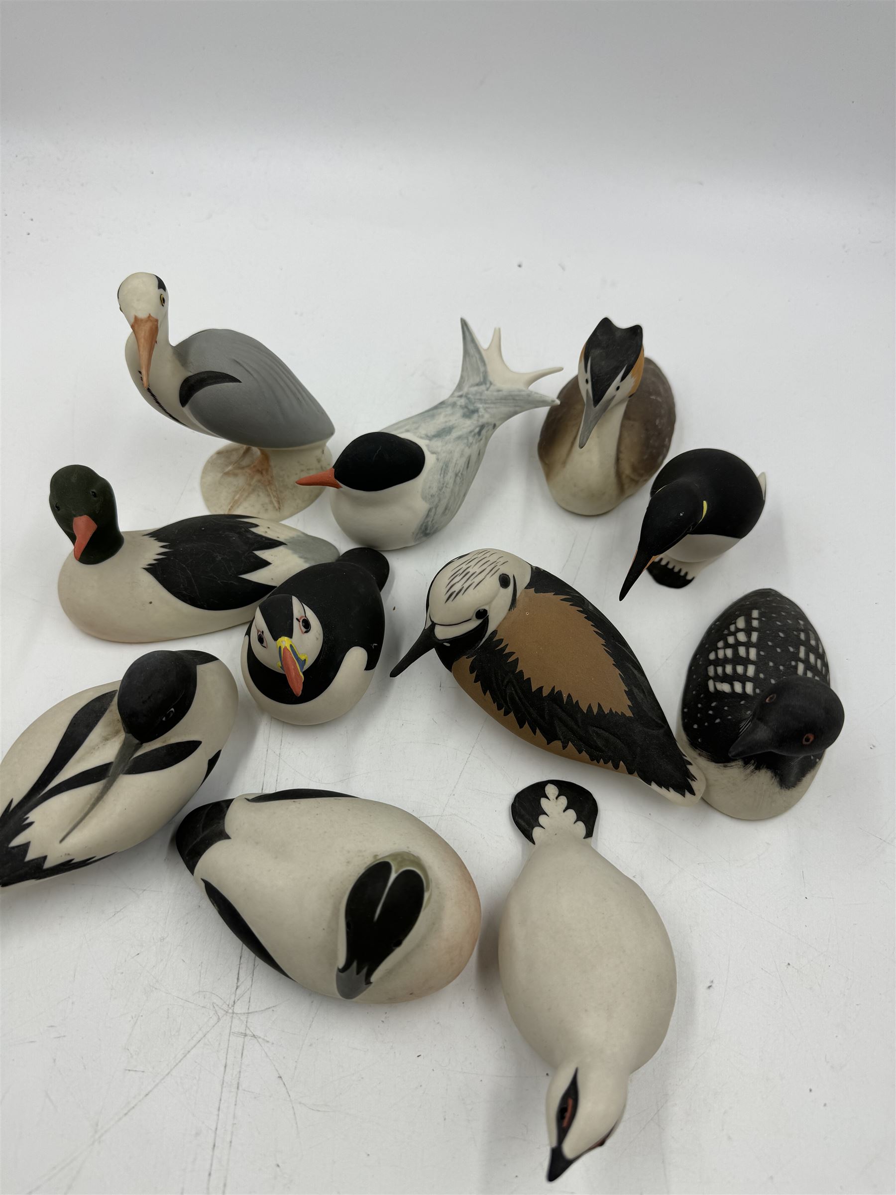 Group of eleven Scottish 'Isle of Arran' bisque porcelain birds, to include Great Northern Diver, Eider, great Crested Greebe, Artic Tern, King Penguin, etc.
