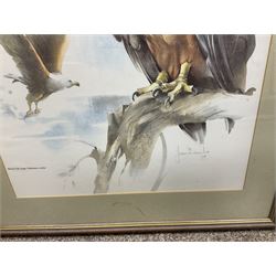 After Joan Beuche (South African 20th century) Eagles, set of six coloured prints (6)