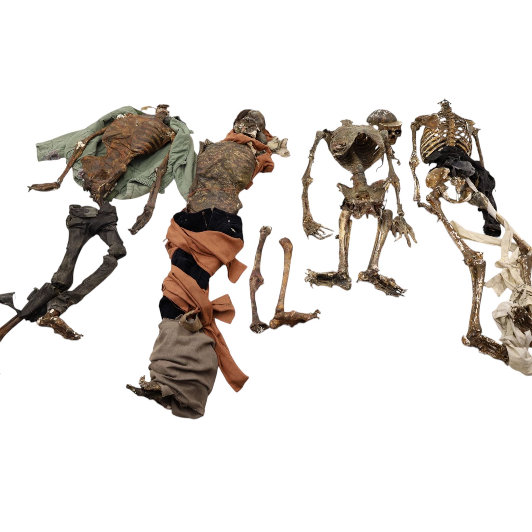 FILM PROPS; four decomposing prop cadavers, each with articulated joints and limbs, likely from a TV or film production, each prop displays intricate detailing with realistic aging and weathering, with a body bag