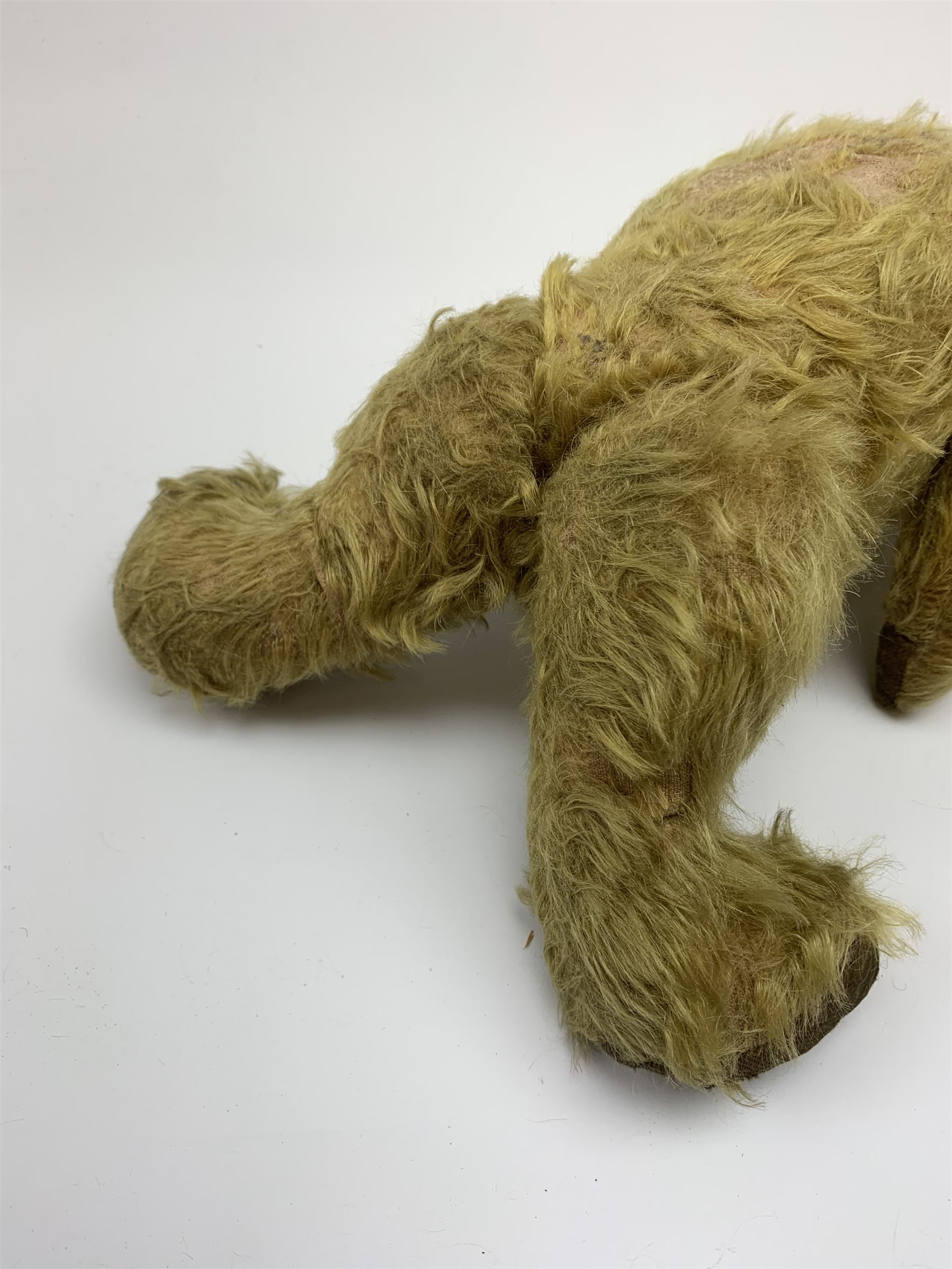 Early 20th century English teddy bear, WW1 period, with wood wool filled mohair body, fixed head with one boot button eye and vertically stitched nose and mouth and jointed limbs with cloth paw pads H16
