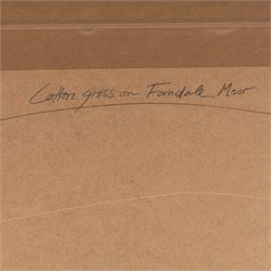 Jim Miller Wright (Scottish 1954-): 'Cotton Grass on Farndale Moor' North York Moors, oil signed with monogram, titled verso 51cm x 72cm 