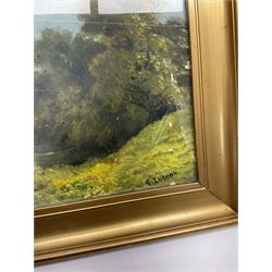 Oil on board framed river landscape, H19cm W48cm, and a framed portait print of a lady
