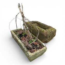 Two 19th century hewn stone planters, one planted
