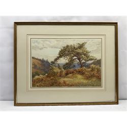 Frank Walton (British 1840-1928): 'On Holmbury Hill St. Mary Dorking', watercolour signed, titled and signed verso 37cm x 54cm
Provenance: exh. Japan Exhibition 1910, Cat. No.432 
