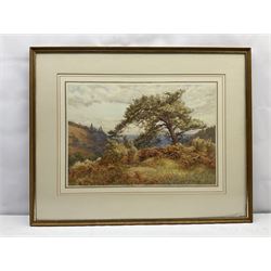 Frank Walton (British 1840-1928): 'On Holmbury Hill St. Mary Dorking', watercolour signed, titled and signed verso 37cm x 54cm
Provenance: exh. Japan Exhibition 1910, Cat. No.432 