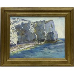 Catherine Tyler (British 1949-): 'Cliffs at Seaford - Sussex', oil on canvas signed, inscribed verso 30cm x 40cm