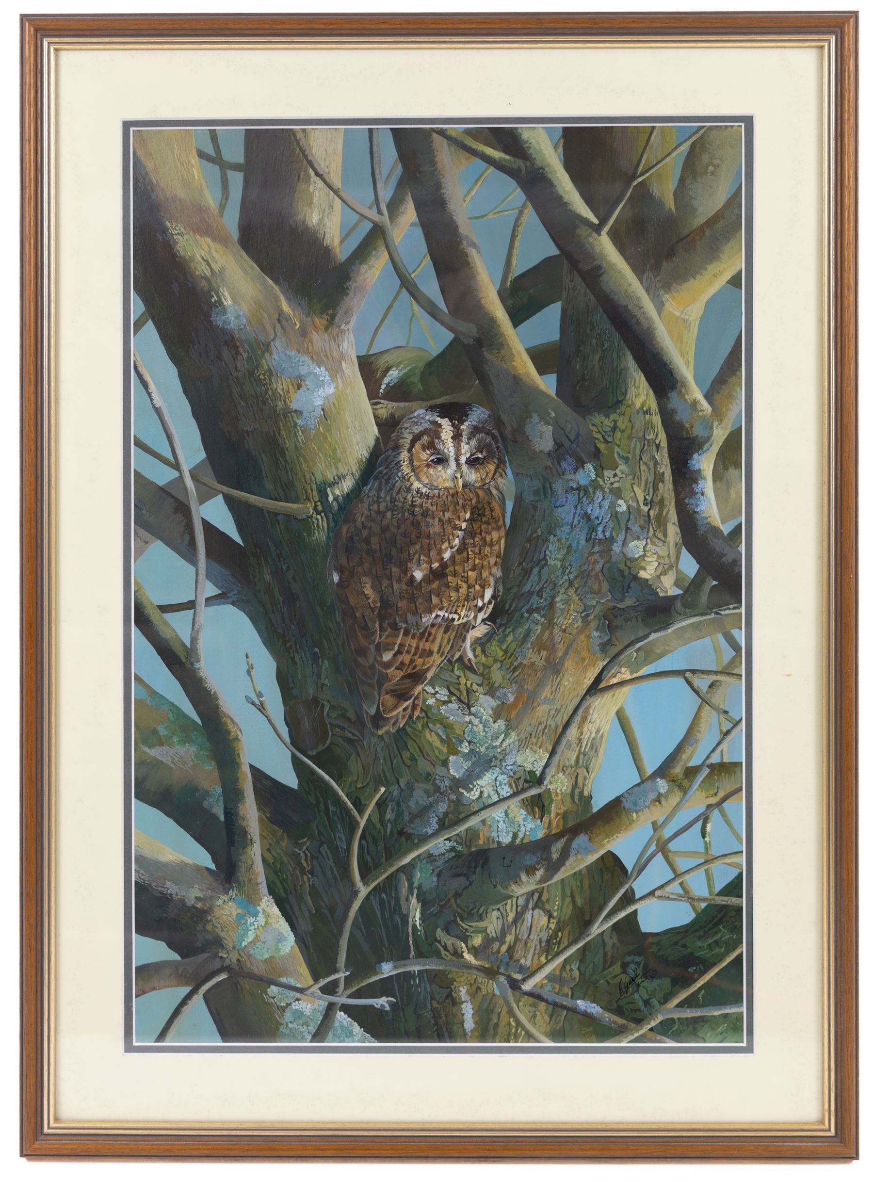 Elaine C Geall (British 1976-): 'African Leopard' and 'Patient Observer - Tawny Owl', acrylic on paper signed, titled verso 29cm x 48cm and 53cm x 35cm (2)