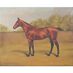 Charles F Davis (British 19th/20th Century): Horse Portraits, pair oils on canvas signed and dated '09 and '05, max 45cm x 55cm (2)