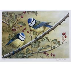Rober E Fuller (British 1972-): Blue Tits, limited edition print signed and numbered 134/850 in pencil 23cm x 32cm