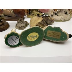 British wildlife, dogs and other animal figures, to include examples by Border Fine Arts, Teviotdale and David Hughes, etc