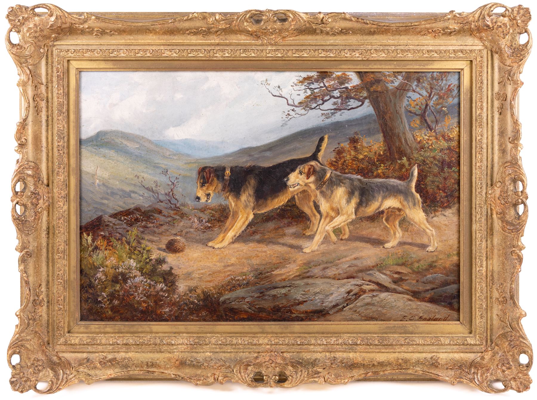 EC England (British 19th century) Two Dogs and a Hedgehog, oil on canvas signed 39cm x 60cm