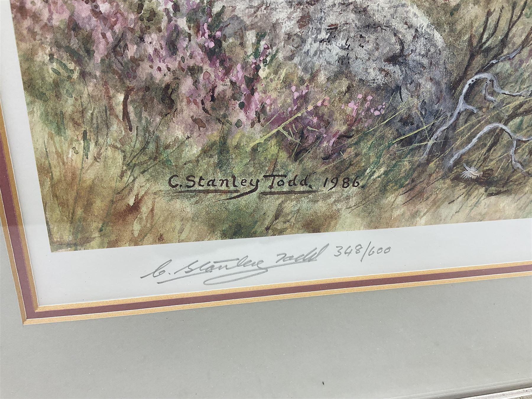 Five limited edition framed coloured prints of shooting interest comprising after C. Stanley Todd game birds taking flight in a mountainous lake landscape no.348/600; after J.C. Harrison game birds in flight over fields no.285/500; after Alan B. Hayman  'A Right and Left?' no.398/850; after Andy Beck 'Pheasant Drive' no.56/350; and after Leo Stans 'Autumn Air'; all signed on the mount; various frames (5)