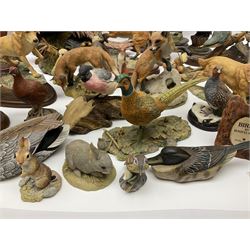 British wildlife, dogs and other animal figures, to include examples by Border Fine Arts, Teviotdale and David Hughes, etc