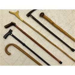 Two smooth polished ram horn handled Shepherd's crooks and a further similar example, together with various shooting sticks, walking sticks and canes, housed in a volcanic lava glaze West German style vase