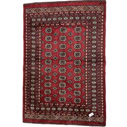 Turkmen Tekke Bokhara rug, red ground an