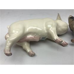 Two beswick rare breed pigs, comprising Middlewhite Boar No 4117 and Berkshire Boar No 4118, with printed marks beneath 