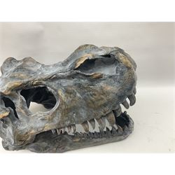 Composite model of a T-Rex dinosaur Skull, L50cms, H36cm 