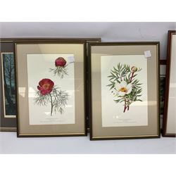 After Terry Harrison (20th century): Landscapes and Cricket, three colour prints signed in pencil together with four prints of flowers and one other max 45cm x 34cm (8)