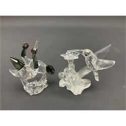 Fourteen Swarovski Crystal bird figures, to include toucan, mandarin duck, swans, parrot, cranes etc 