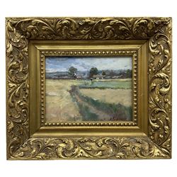 Siddall (British 20th century): Flatland Field Landscape, oil on board signed 13cm x 17cm