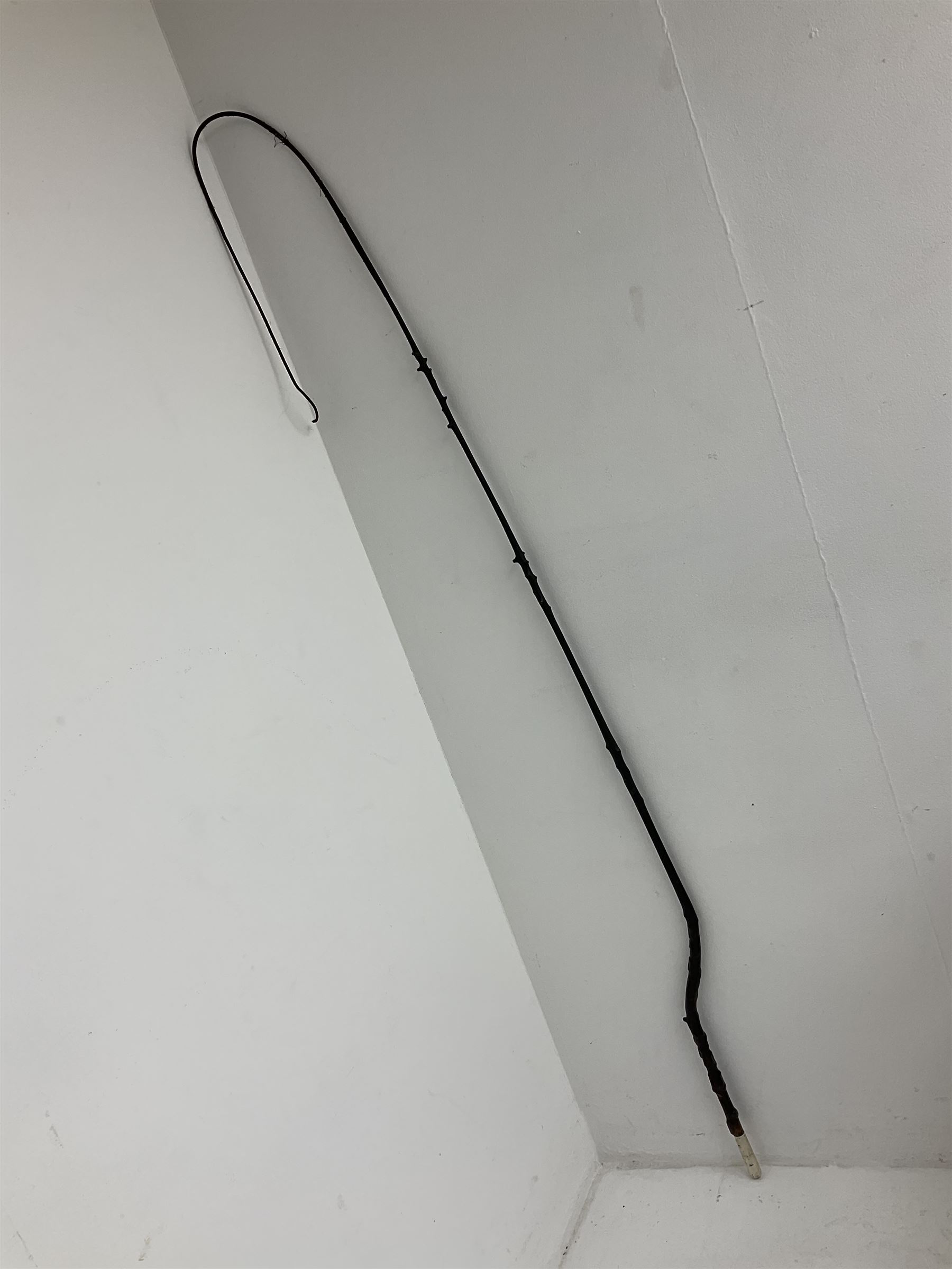 Victorian trap/coaching whip, principally in blackened thorn wood, with a silver cap engraved 'Marmaduke Furness Esquire Nov 1st 1904', hallmarked London 1900, makers mark AC, L173cm 