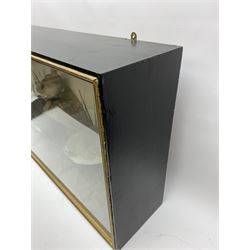 Taxidermy: female Goosander (Mergus Merganser), male Green Wing Teal Duck (Anas Carolinensis), and Little Grebe (Tachybaptus Ruficollis), in naturalistic setting detailed with long grass, set against a painted cream backdrop, encased within an ebonised single pane display case, with taxidermist paper label verso detailed J E Massey, Finkle Street, Malton, H50.5cm W89cm D21cm