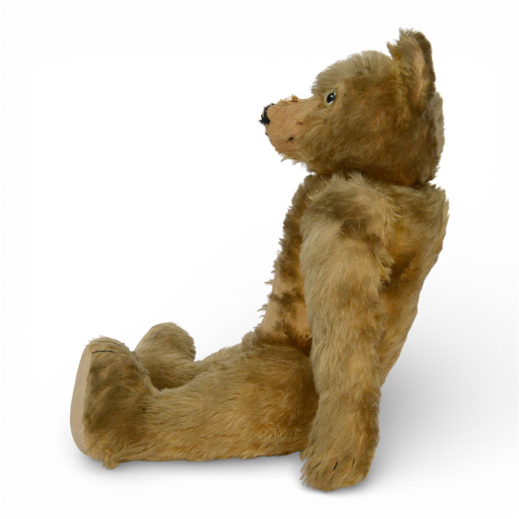 Early 20th century teddy bear, probably German, blonde mohair bear with glass eyes, straw filled snout with stitched nose, hand stitched centre seam, wood wool filled body, jointed limbs, swivel head and hump to back, H67cm