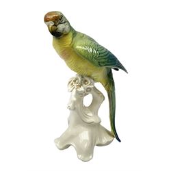 Karl Ens porcelain figure of a parrot, modelled with yellow breast, blue back and wings and green tail, perched upon on a blossoming branch, with blue printed factory mark beneath, H24.5cm