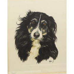  Border Collie, watercolour signed by Terry Logan (British 1938-), 'Taton Park', oil signed by M Davies, Abstracts, three oils by Norman Gedling and other watercolours and oils max 48cm x 67cm (12) some unframed   