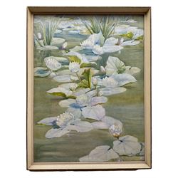 Richard Edward Clarke (British 1878-1954): Waterlilies, watercolour signed 53cm x 40cm