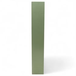 Bailey Structural Ltd green-painted steel gun cabinet, with lockable hinged door, internal shelf and foam rifle rack, complete with key