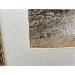 John Francis Branegan (British 1843-1909): 'Runswick Bay', watercolour signed and titled 25cm x 45cm