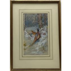 James Stinton (British 1870-1961): Pheasants and Grouse in Winter Landscapes, pair watercolours heightened in white signed 28cm x 16.5cm (2)