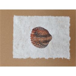 French Contemporary: ‘La Flore Marine de la Manche’, approx. 30 marine and botanical prints on handmade paper loose mounted in an album, each 20cm x 15cm