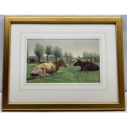 John Atkinson (Staithes Group 1863-1924): Cattle Resting in Pasture, watercolour signed 22cm x 37cm