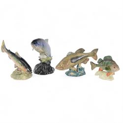 Beswick, four fish figures, comprising Large mouthed Black Bess 1266, Perch 1875, Atlantic Salmon 1233 and Rainbow Trout 1246