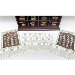 Twenty Four Danbury Mint models of fish, The Angler's Showcase, each with accompanying information card, in wooden wall mounted display shelf, with title plaque, display shelf H61cm L54cm